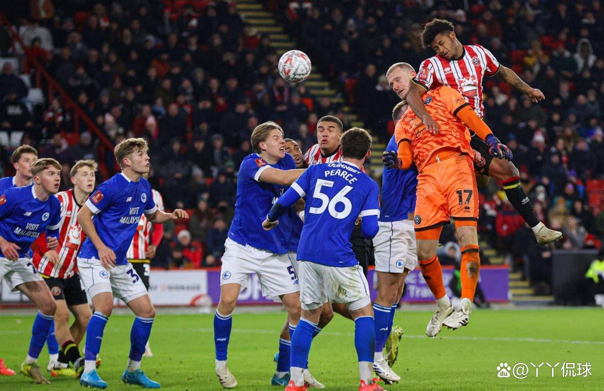 杏彩体育网页版-卡迪夫城客场不敌埃弗顿，遭受连败的简单介绍