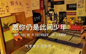 杏彩体育平台-里尔主帅感慨困境：球队盼取胜改写命运(里尔出的球星)