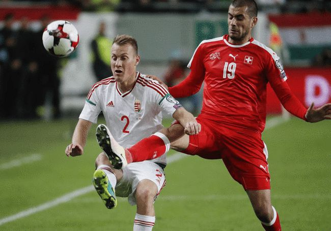 匈牙利逼平法国,出线希望渺茫的简单介绍 匈牙利逼平法国,出线希望渺茫的简单介绍